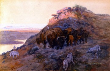 Manada de búfalos en la bahía 1901 Charles Marion Russell caza Pinturas al óleo